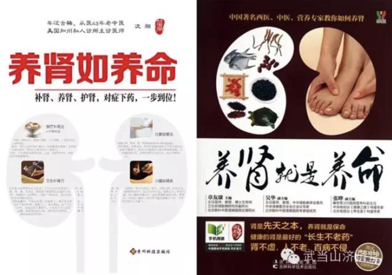 武當(dāng)山濟(jì)腎堂強(qiáng)腎七式 百度網(wǎng)盤(pán)插圖2