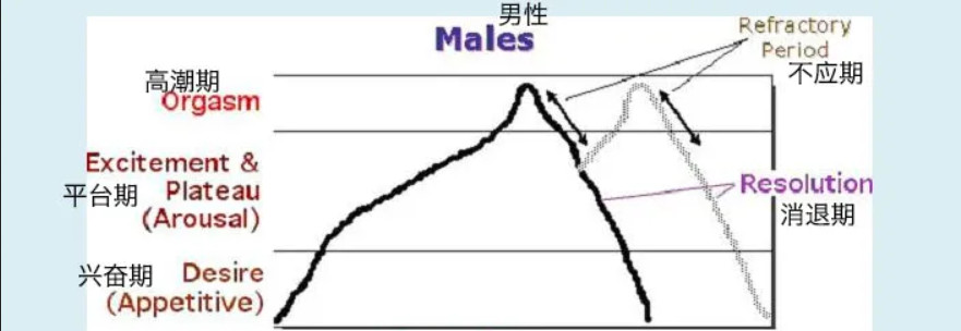 令人迷惑的“賢者模式”，抽搐后索然無(wú)味插圖1