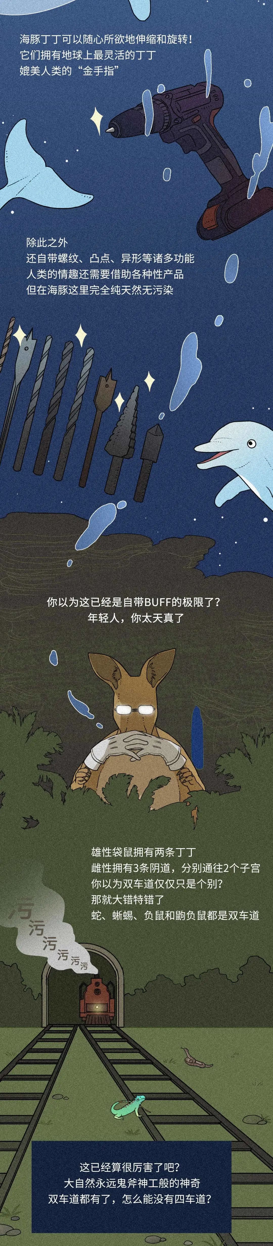 在性事上，人類差遠(yuǎn)了！插圖1