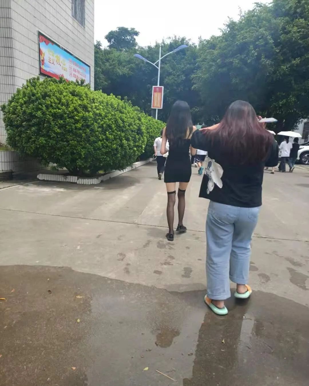 這么多老師有你認識的？插圖7