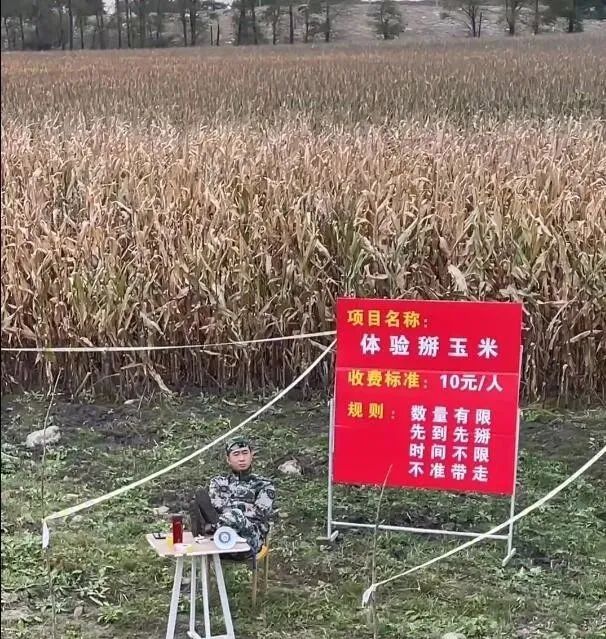 妹子窮的絲襪都破了！插圖14