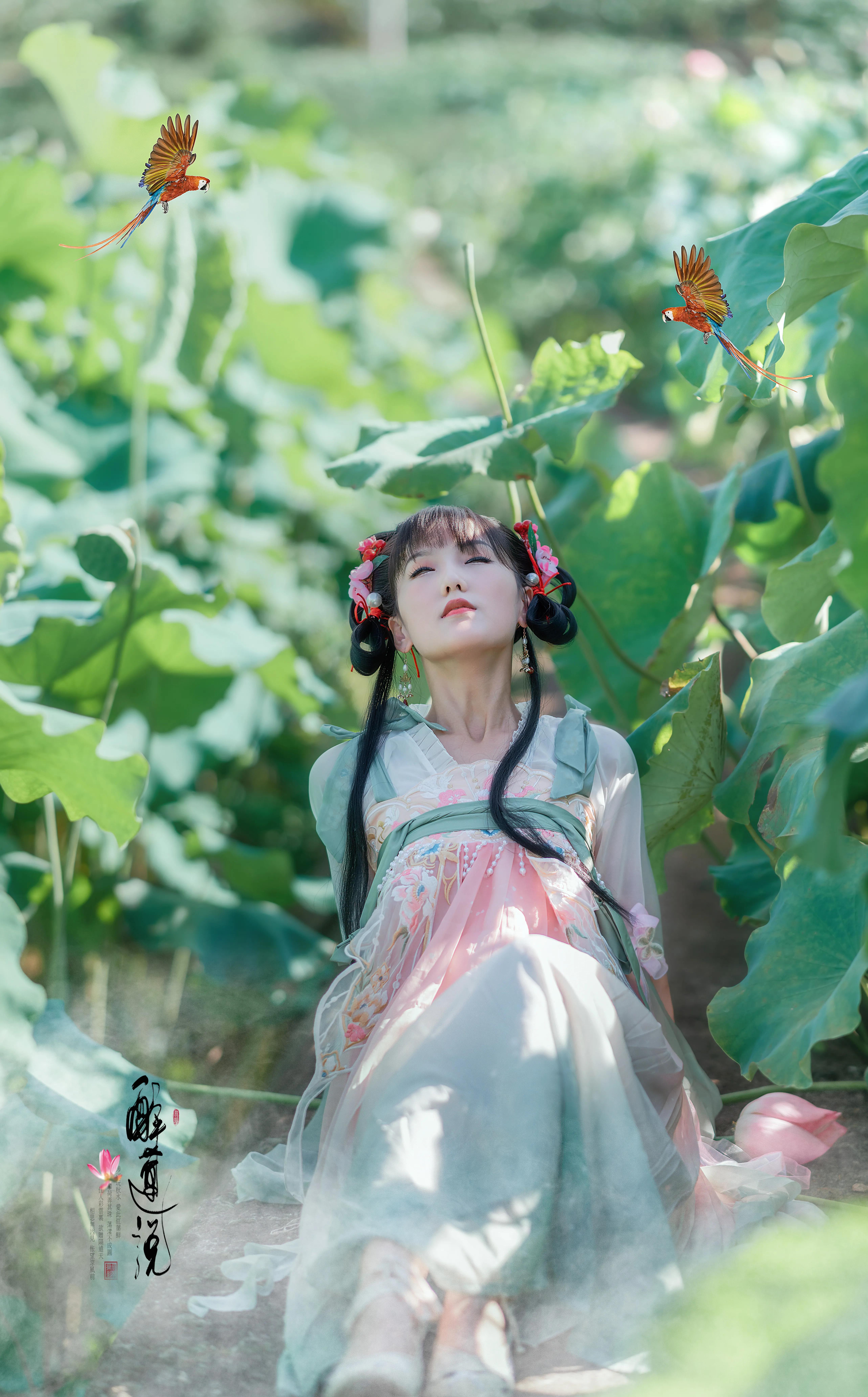 心醉迷，夢醉迷。葉鋪池，花開池。插圖7