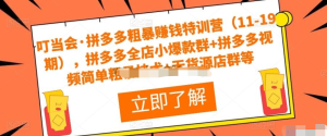 叮當會?拼多多粗暴賺錢特訓(xùn)營（11-19期），拼多多爆款群+拼多多視頻技術(shù)+無貨源店群插圖