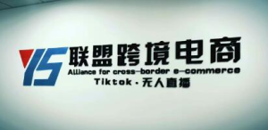 YS聯(lián)盟?Tiktok無人直播，不出鏡不剪輯不拍攝不發(fā)貨無售后的跨境短視頻插圖