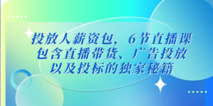 三里屯?投放人薪資包，6節(jié)直播課，直播帶貨、廣告投放獨(dú)家秘籍百度網(wǎng)盤插圖