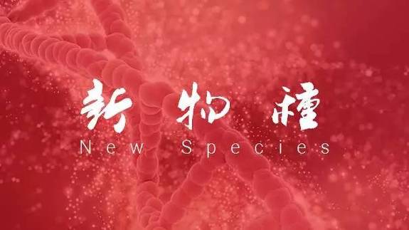 如何通過(guò)公眾號(hào)協(xié)作建立個(gè)人IP?插圖 如何通過(guò)公眾號(hào)協(xié)作建立個(gè)人IP?插圖