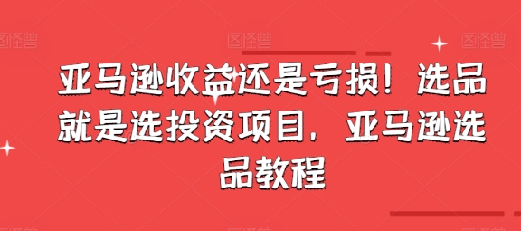亞馬遜收益還是虧損！選品就是選投資項目，亞馬遜選品教程插圖