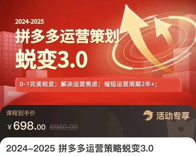 【電商上新】083.大力·2024-2025拼多多運(yùn)營(yíng)策略蛻變3.0 0~1完美蛻變，解決信息焦慮