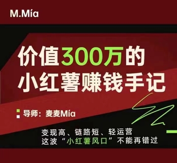 【抖音上新】?jī)r(jià)值300萬的小紅書賺錢手記 變現(xiàn)高、鏈路短、輕運(yùn)營(yíng)，這波“小紅薯風(fēng)口”不能再錯(cuò)過。