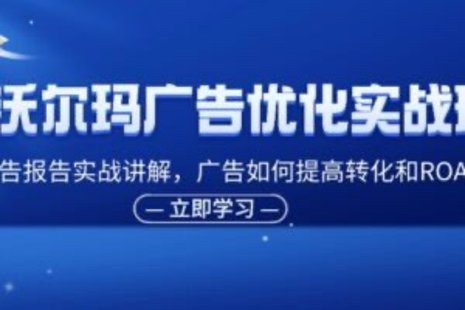 【網(wǎng)賺上新】090.沃爾瑪廣告優(yōu)化實(shí)戰(zhàn)班，廣告報(bào)告實(shí)戰(zhàn)講解，廣告如何提高轉(zhuǎn)化和ROAS等