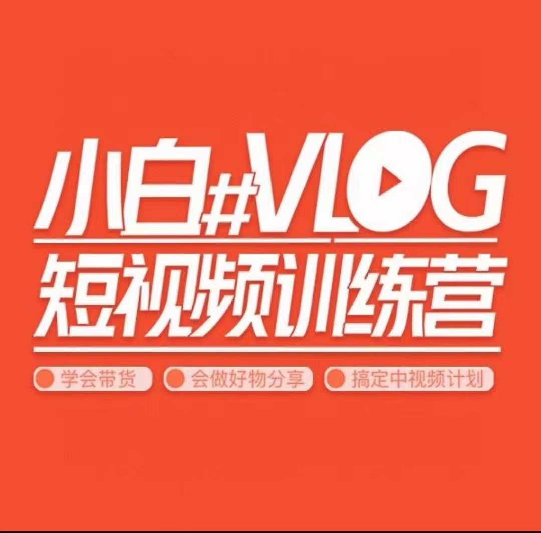 小呆說(shuō)視－－小白VLOG短視頻訓(xùn)練營(yíng)（學(xué)會(huì)帶貨、好物、直播、中視頻）插圖